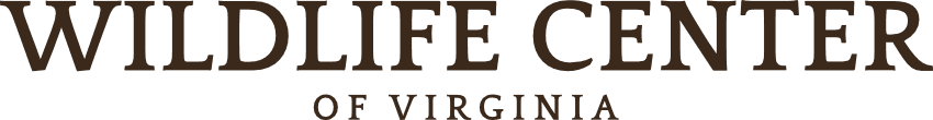 Wildlife Center of Virginia logo